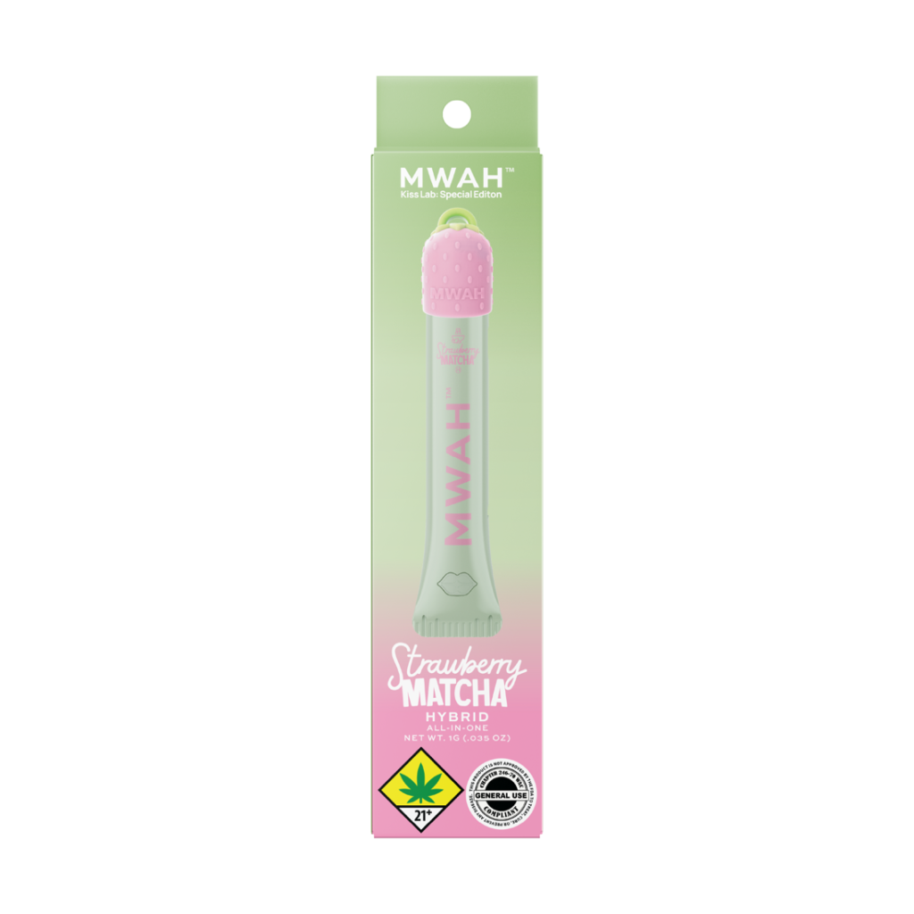 Strawberry Matcha Package — Gimme MWAH lip gloss pen