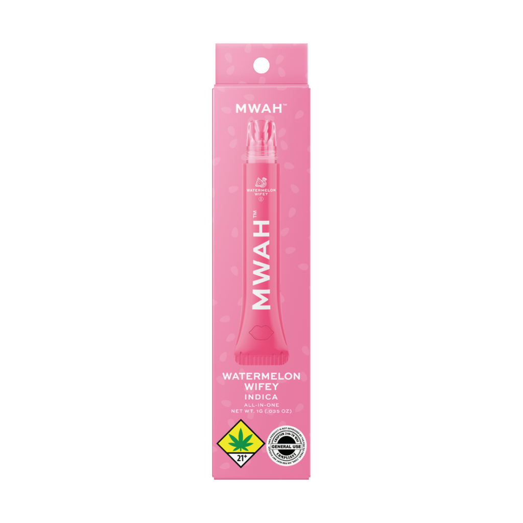 Watermelon Wifey Package — Gimme MWAH lip gloss pen